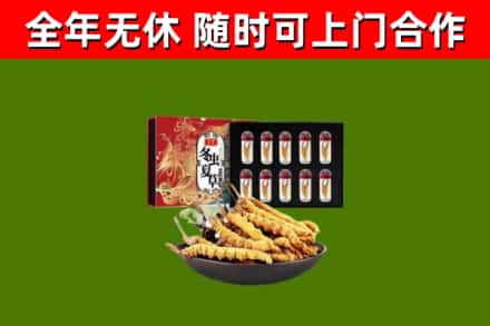 新乐市回收冬虫夏草价格